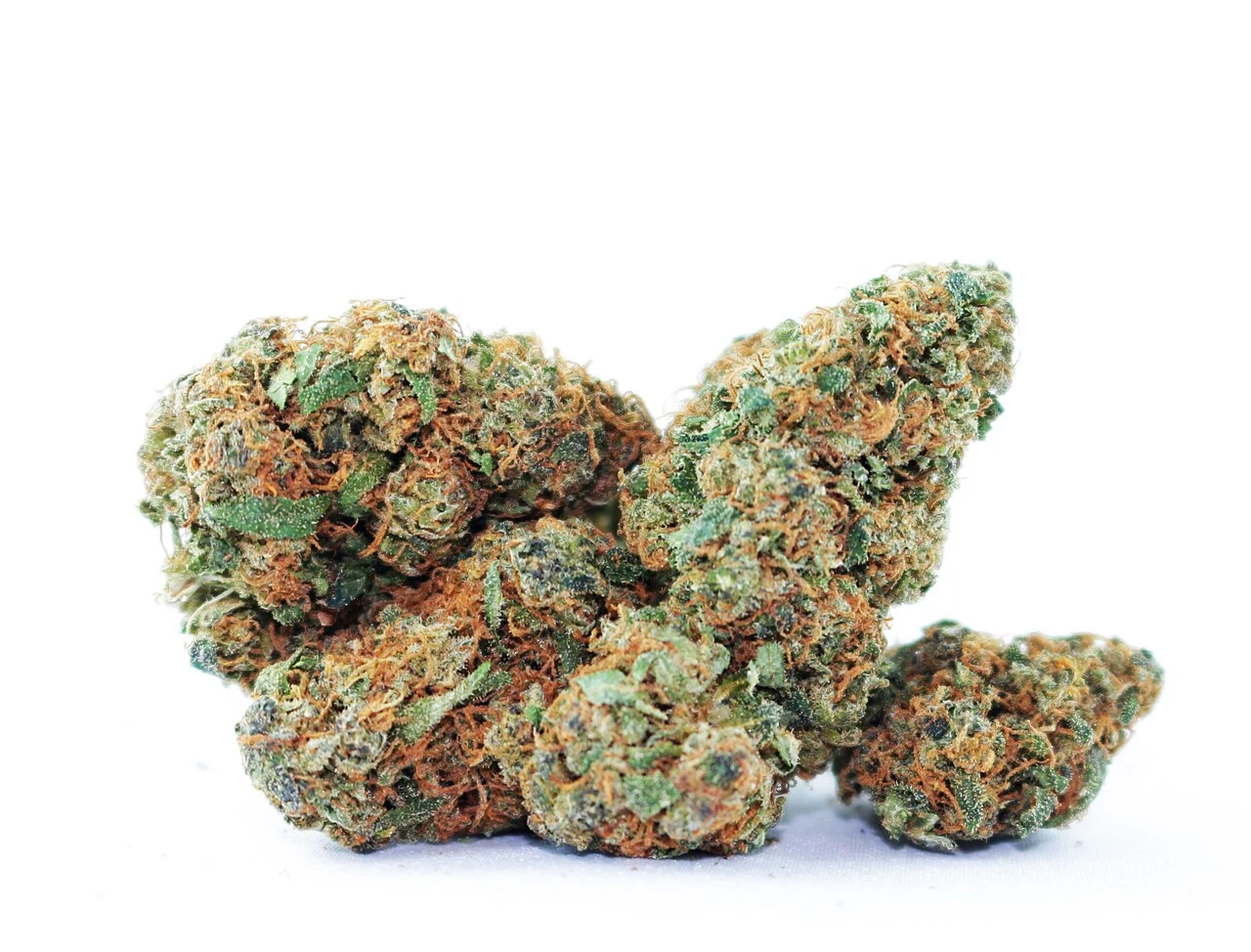 Representative real cannabis flower photo for Bayou Gumbo