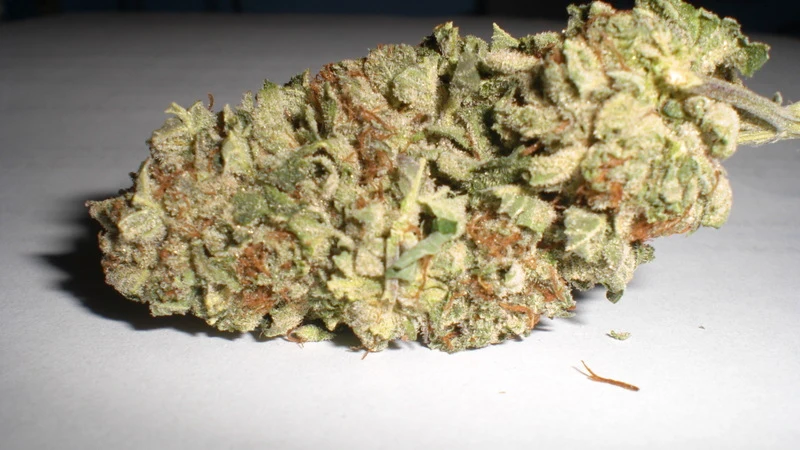 Representative real cannabis flower photo for Burning Bog