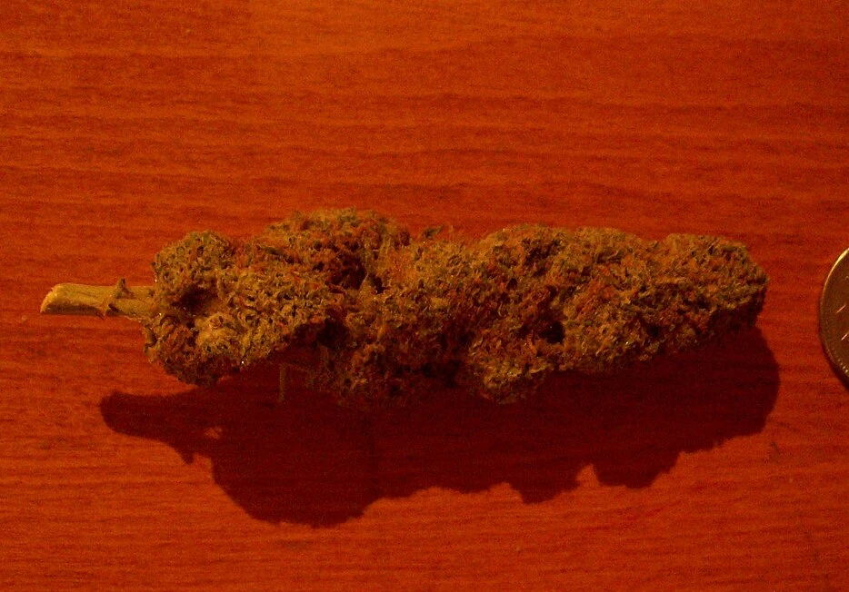 Representative real cannabis flower photo for Blackwater Bramble